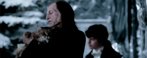 Argus Filch