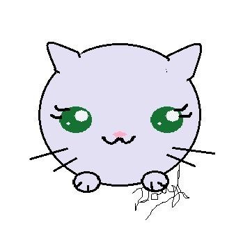 Kitty