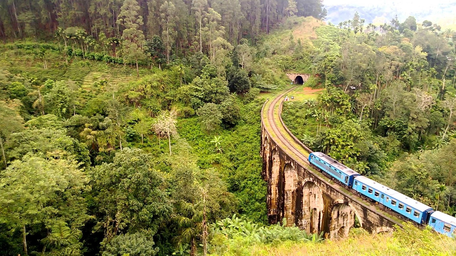 It cannot get better than this for a train ride. It’s all about mountains and greenery and fresh air all through the lovely ride up the hills!!!