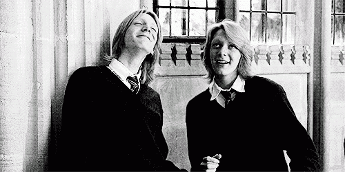 Weasley Twins (Gred and Forge)