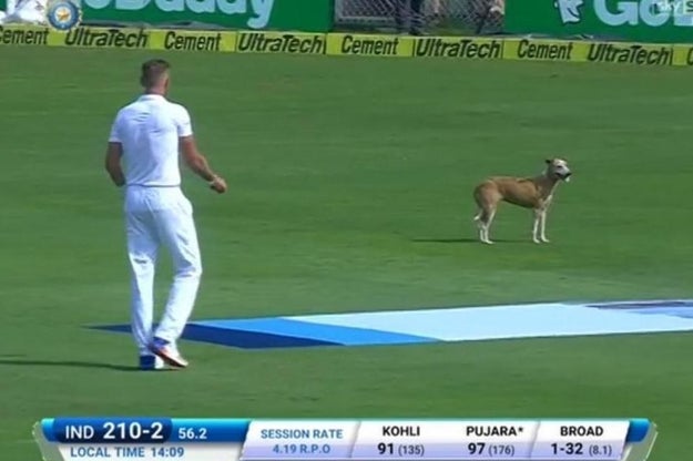 Unfortunately, the march to their centuries was abruptly halted when an unwelcome guest invaded the ground.