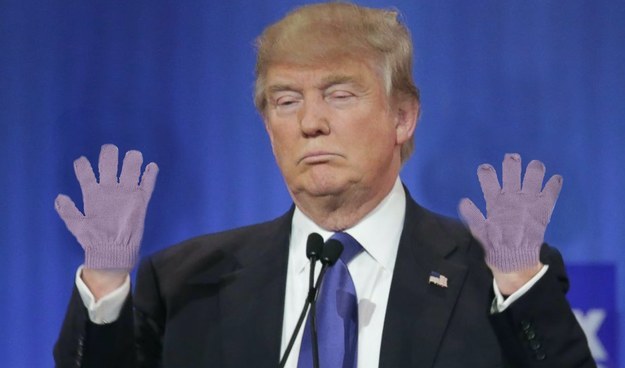 Donald Trump's Tiny Gloves