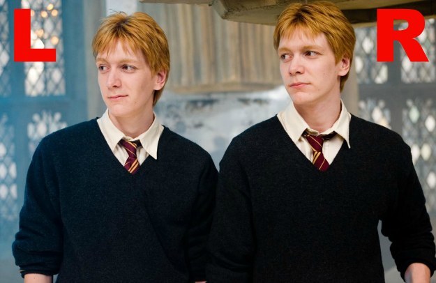 Can You Tell Fred And Weasley Apart?