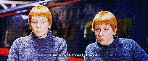 Can You Tell Fred And Weasley Apart?