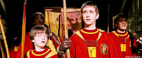 You belong with the Quidditch gang