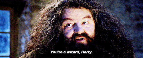 Harry Potter