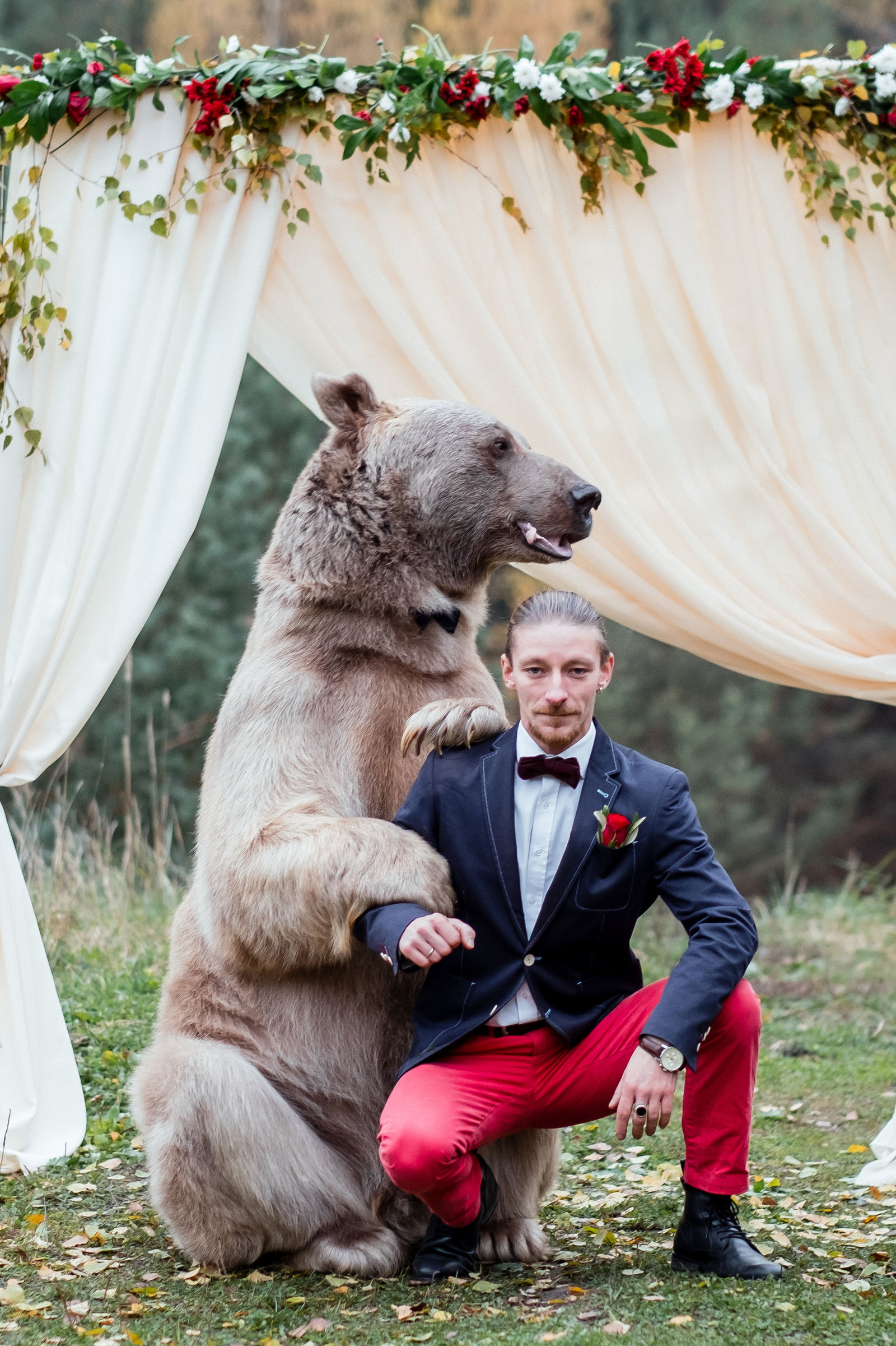 A Russian Bear Probably Didn't Officiate A Wedding