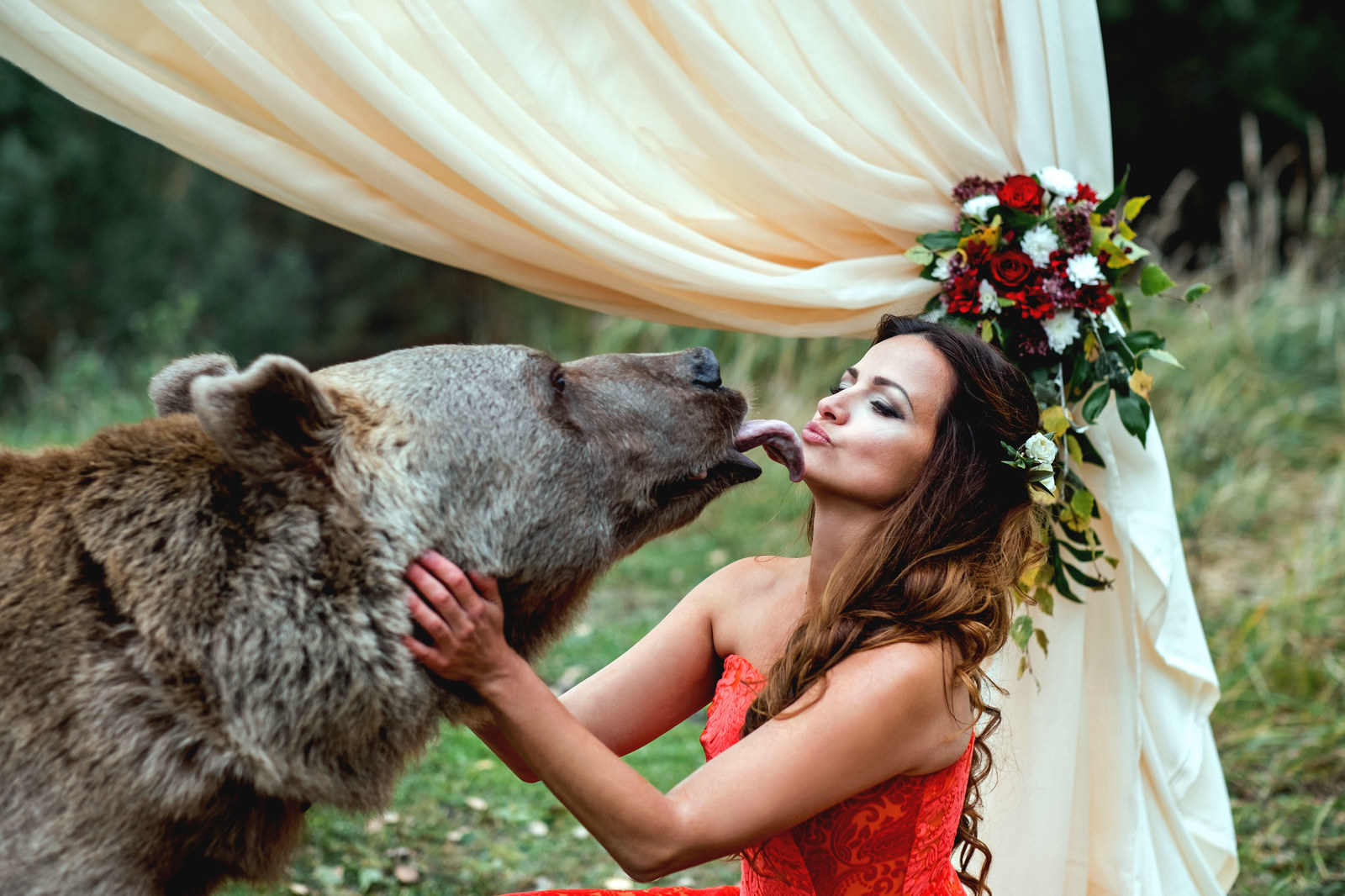 A Russian Bear Probably Didn't Officiate A Wedding