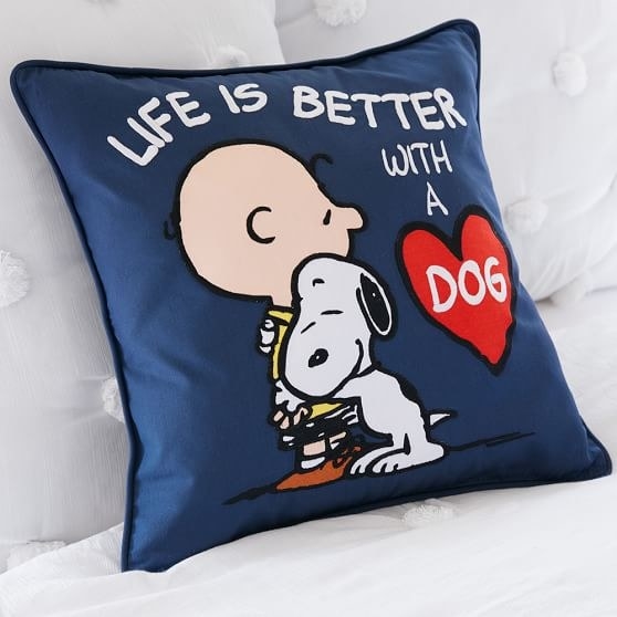 A Peanuts themed pillow that tells one of life's simple truths.