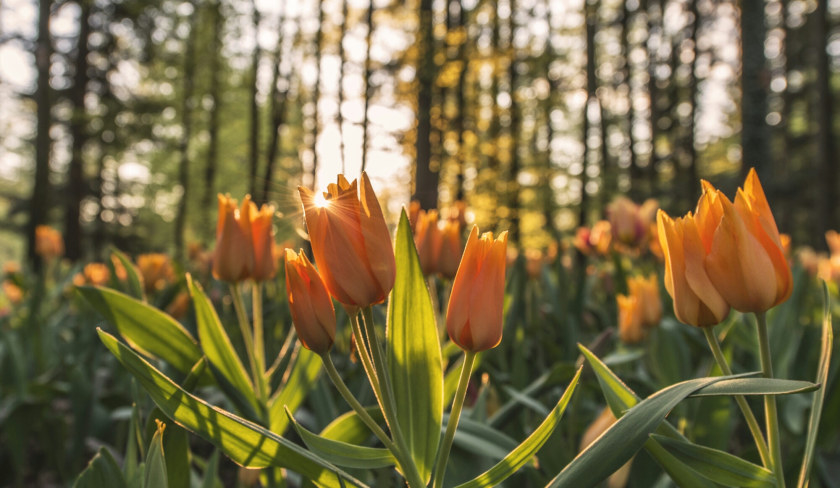 There’s no preamble for this post, I’m afraid. These are just a few thoughts that keep turning my mind over.It amazes me when I realize how hard we try all the time, to please people we want to impress – for them to know we are good enough for them, we let them set standards for us, we let them decide if we are really worth their time, we try our best to make them understand we really yearn for their respect and appreciation. And in the process we let them decide our happiness, our value.But, what do we get in return? A huge amount of regret, resentment, for not having achieved what was expected of us, because come what may, the expectation list is bound to remain endless.All our life we keep doing what the rest of the world wants us to do, we keep trying to prove ourselves to our friends, relatives, family, society, we keep working to increase their happiness and end up ignoring what our heart really wants. All for nothing, but a chartered robotic life we are expected to lead, for the supposedly promised “happiness”.We have always been given a rule book to follow; one toe out of line and we’ll have panic attacks on how we might become a failure for life. Or there will be people ready around the corner, convincing and coaxing us on what is right and what is good, making us forget what we actually want, however right we might be – If it doesn’t match their standards, wham! It’ll be a bygone before we can blink. How convenient, no?!Enough. It isn’t necessary to please anybody. At all.Be the way you are. Let your heart guide you, rule you. Be what you want. Feel the inner happiness and spread it around. You are God’s masterpiece and he has a master plan for you. Believe in him and do what you think is good and right. You aren’t a disappointment. Never have been. And for people who think you are, dispel them, their negativity. You aren’t here to fulfill anybody’s expectations. You are here for you. You are here to live a life you want to live. And you will live it to the fullest measure possible. Nothing less. Let not the world stop you. You are your own boss, and only you get to decide what you want. You are not fragile. You are the strongest person you’ve ever seen. And you’re never going to give anyone any chance to demean or undermine you.You are the best, and will always be.If at all you think you need to please someone or keep someone happy, let the person be you – for you are the one who’s going to live your life, face your obstacles and win your wars. Think about what you truly want, go for what makes YOU happy. Because at the end of the day, it is going to be just you in the field fighting for your goals, no one else.