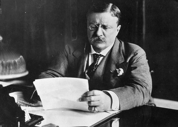 For starters, it wasn't regularly called the White House until Teddy Roosevelt officially named it that in 1901.