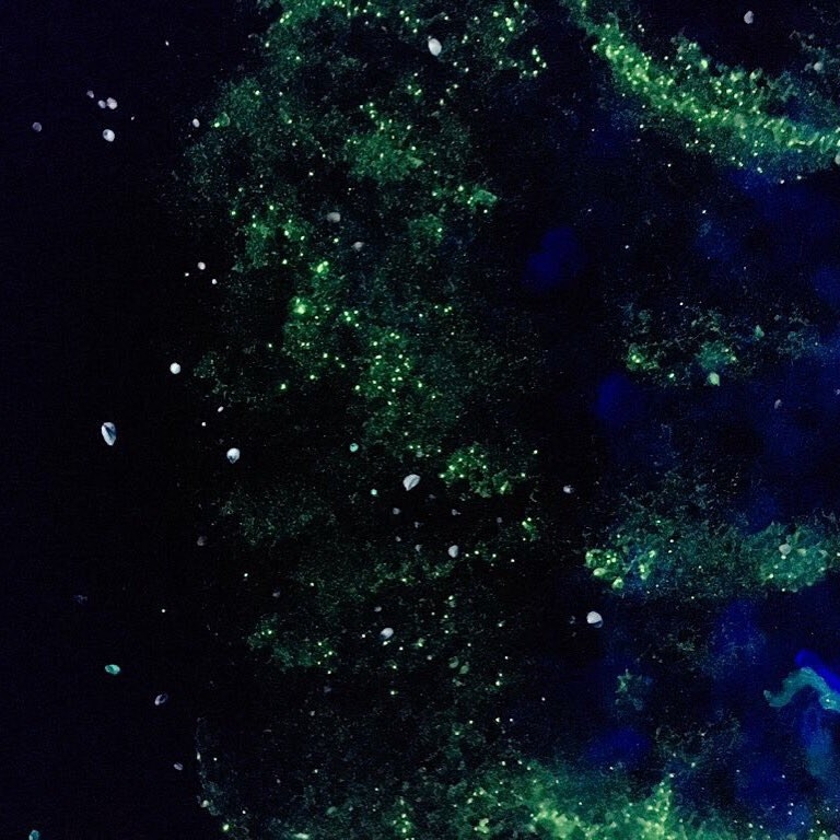 People Are Freaking Out About This Woman S Insane Galaxy Paintings