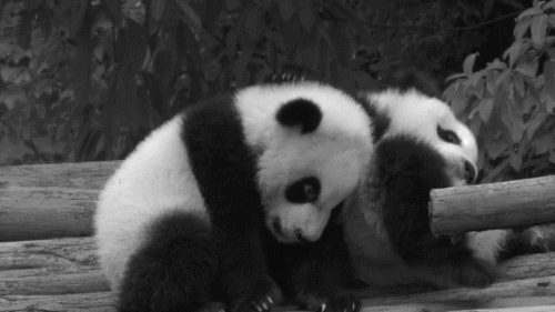 But now China seems to be saying, Don't force me, Donald, we can't live without each other, at least not yet."Sino–US cooperation is the only choice for future global governance," as Hu put it.