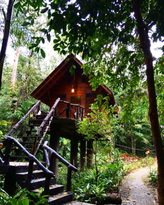 And inside all the lush greenery, sits Art's Riverview Jungle Lodge. There you can stay in a real-life treehouse surrounded by a whole lot of trees and all sorts of animals.