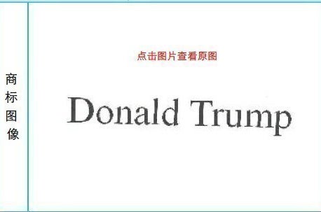 &quot;Donald Trump&quot; trademark registered by Dong Wei