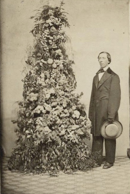 Having a long stand and a stare next to the Christmas tree.