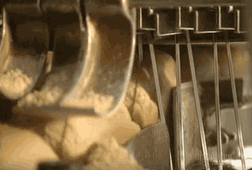 閲覧注意 無限ループで見ちゃう禁断のgif画像 14選