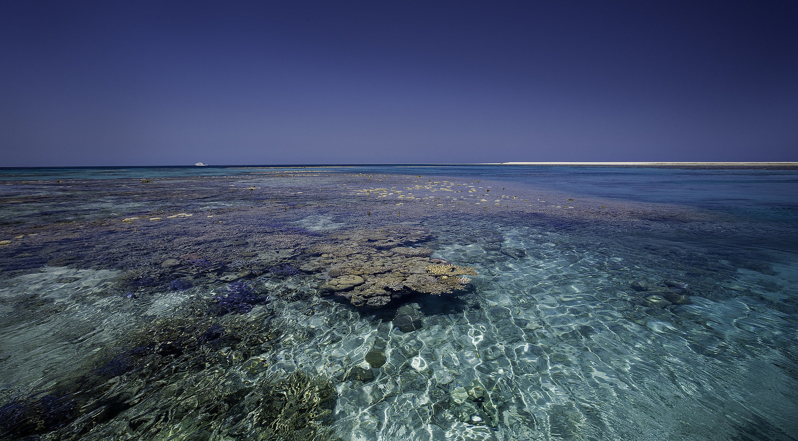 Индийский океан форма. Рифы Роули. Одинокий риф. Брум Австралия. Шельф с рифами.