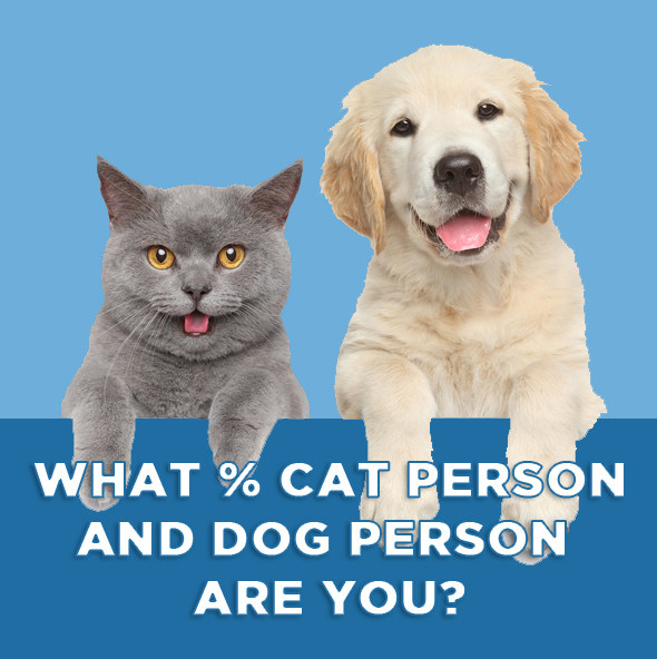 are you cat person or dog person