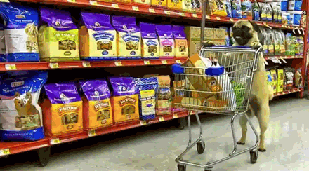 Those carts with f**#$#@d up wheels that make you walk like this through the aisles.