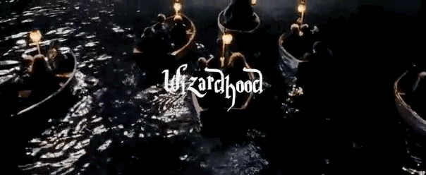 Naturally, it's called Wizardhood.