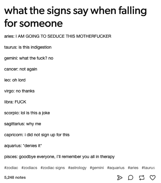 zodiac signs and meanings tumblr