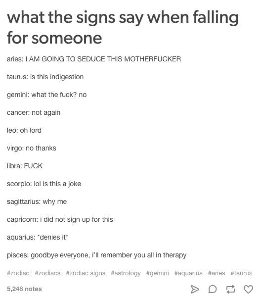Matchmaking by zodiac sign