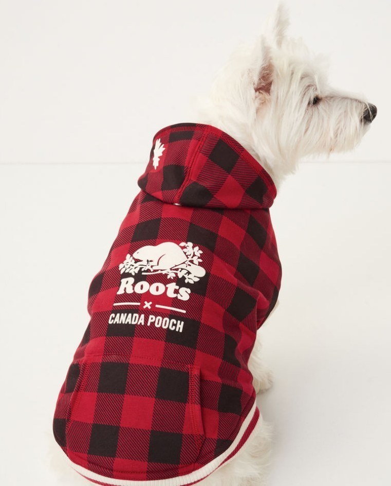 roots canada dog sweater