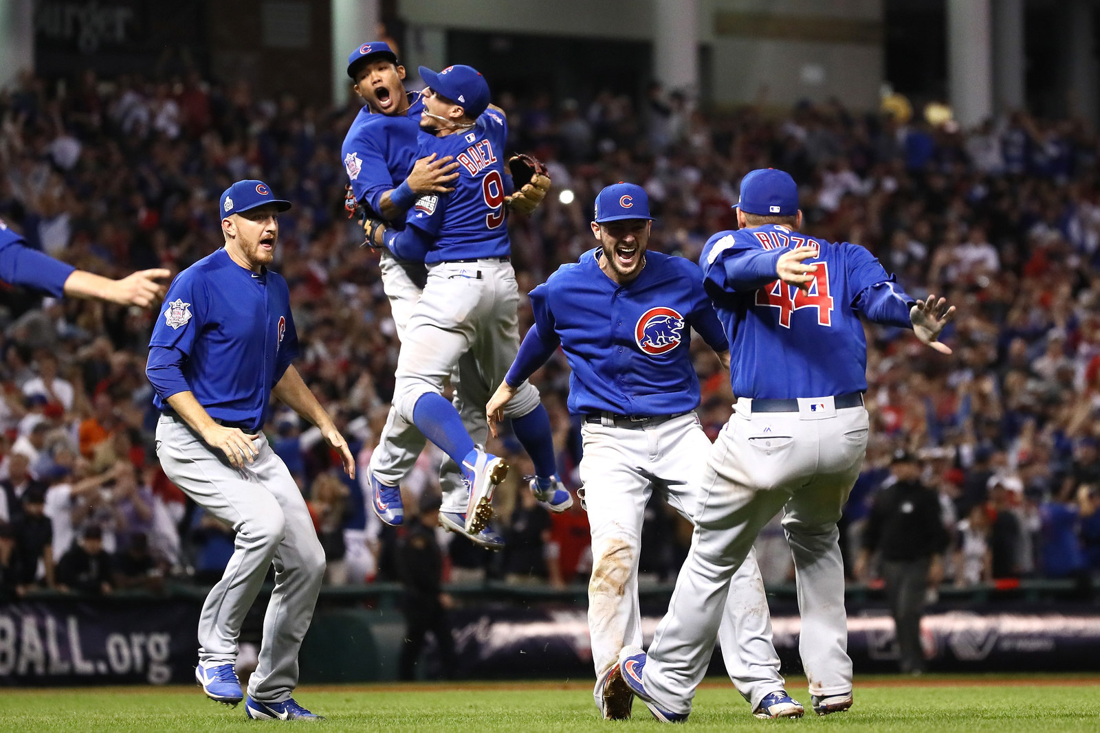 Cubs fans elated after World Series win