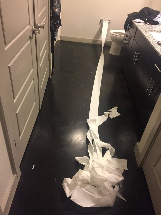 Recently, Hampton left young Pablo under his friend's care, Pablo needed to pee and couldn't hold it in any longer. He peed on the bathroom floor, and when Hampton came home, he found wads of toilet paper pulled from the roll onto the wet spot and realized Pablo "tried to clean it up" himself.