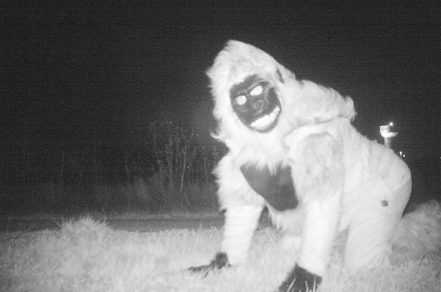 Police Set Up A Camera In Kansas To Find A Mountain Lion And WTF Is Happening