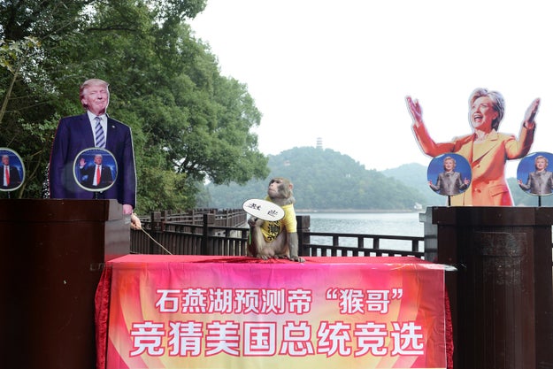 Here's how it works: set up a stage with banners and life-sized cutouts of the two candidates, Donald Trump and Hilary Clinton, next to the local scenery of your choice.