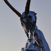 BuzzFeed profile picture for @predictable