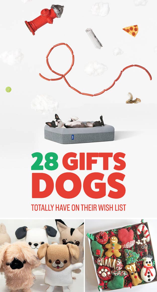 28 Amazing Gifts Your Dog Will Love