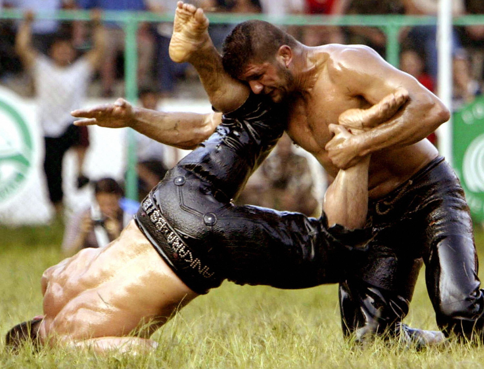 Guys Oil Wrestling Is The Best Damn Sport In The World