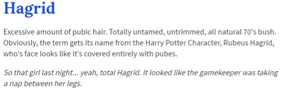 Do You Know What These Harry Potter Terms Mean According To Urban 