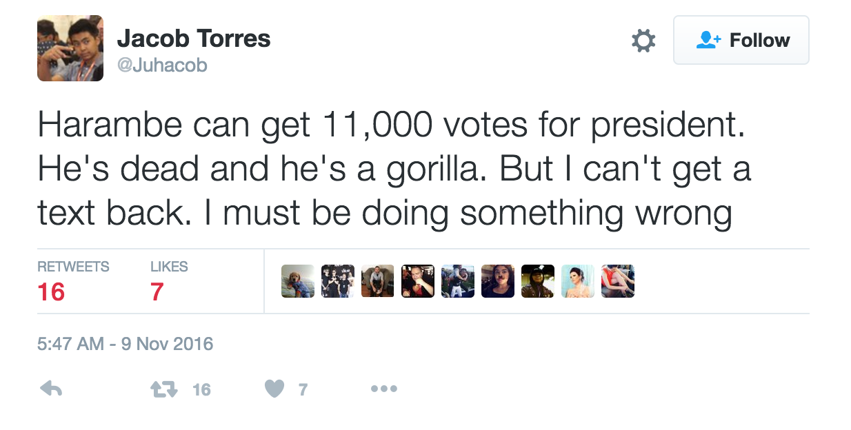 Harambe' the dead gorilla ties with Green Party candidate in Texas poll