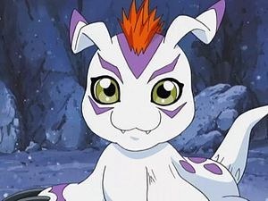 Gomamon