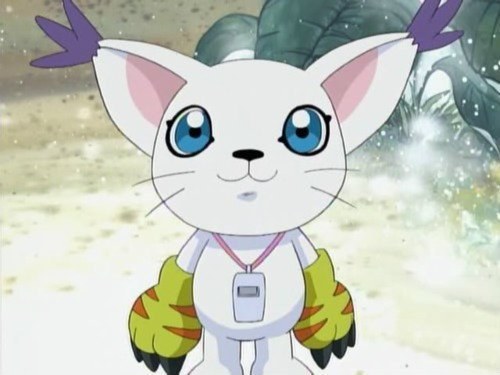 Gatomon
