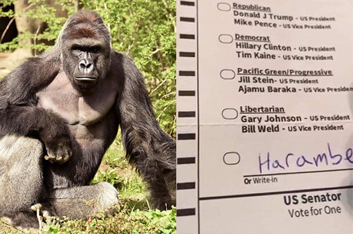 14000-people-probably-didnt-vote-for-harambe-to-b-2-12765-1481571633-6_dblbig.jpg?resize=1200:*