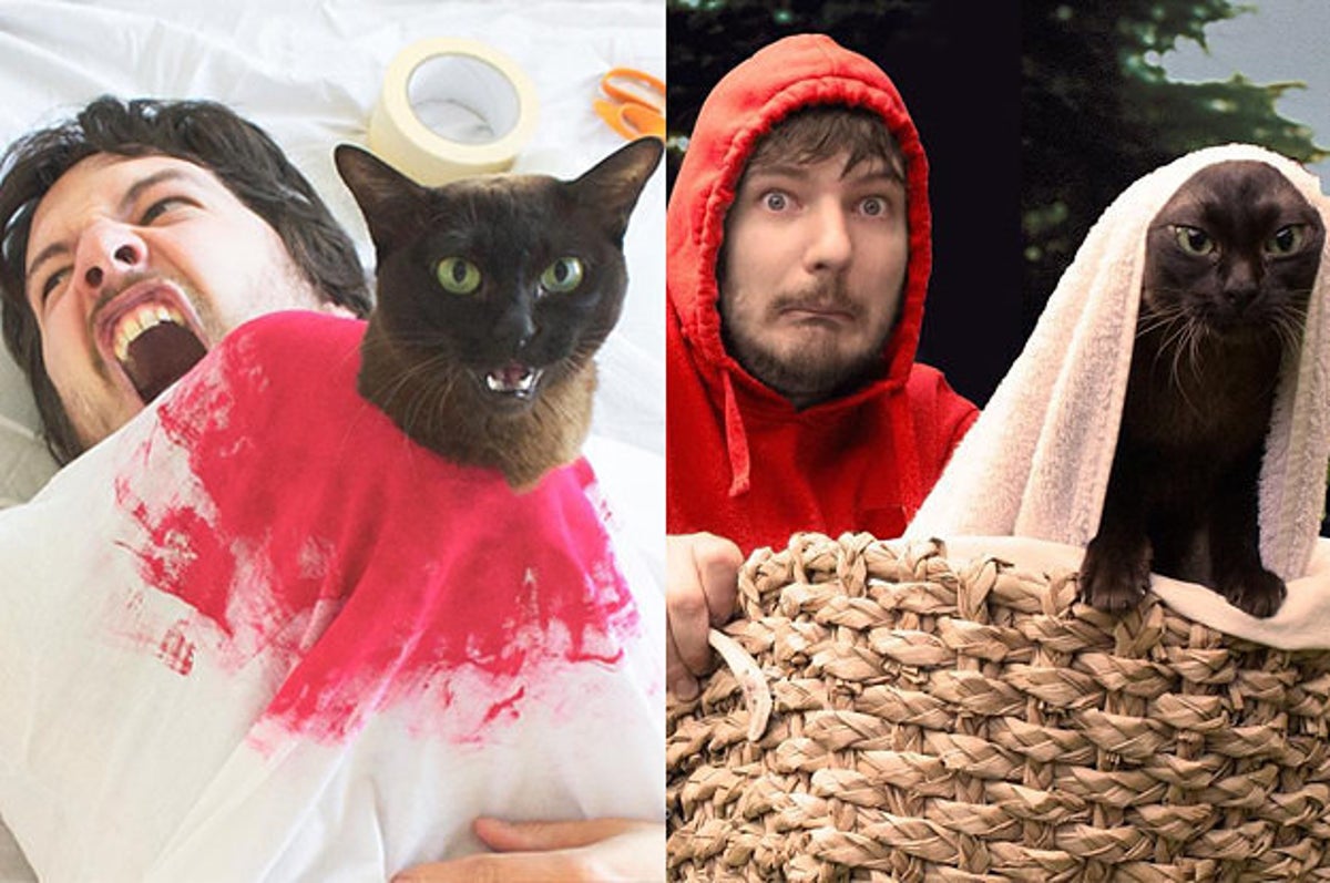 This Guy Re-Creates Famous Movie Scenes With His Cats And It's Hilarious