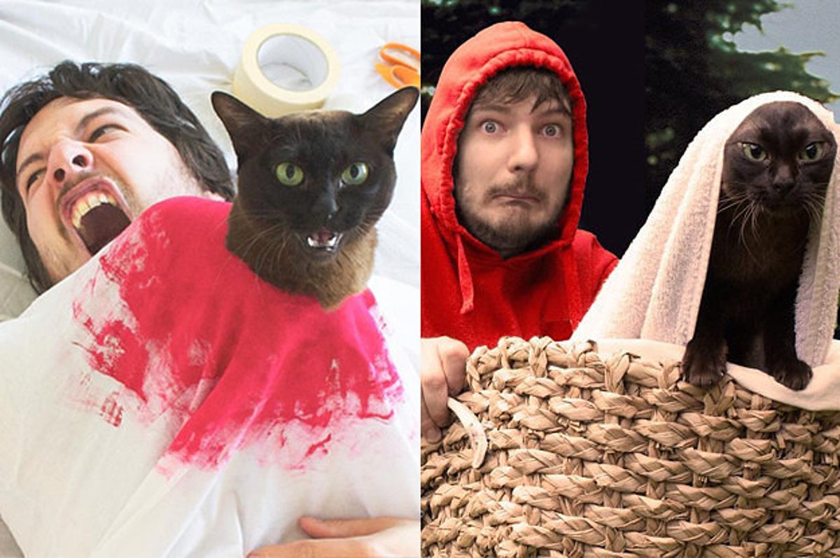 This Guy Re-Creates Famous Movie Scenes With His Cats And It's Hilarious This Guy Re-Creates Famous Movie Scenes With His Cats And It's Hilarious