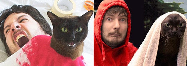 This Guy Re Creates Famous Movie Scenes With His Cats And It S Hilarious