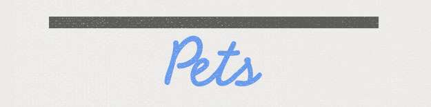 A graphic that reads &quot;Pets&quot;