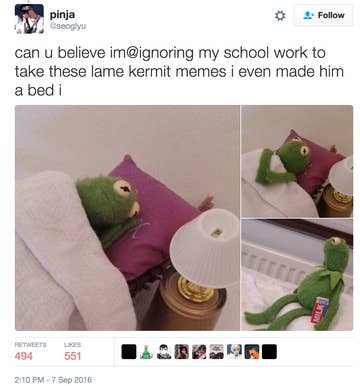 We Found The Creator Of The Sad Kermit Meme And Shes Got A