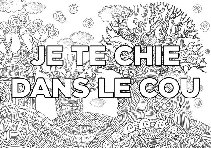 Résultat de recherche d'images pour "mon cahier d'injures à colorier pdf gratuit"