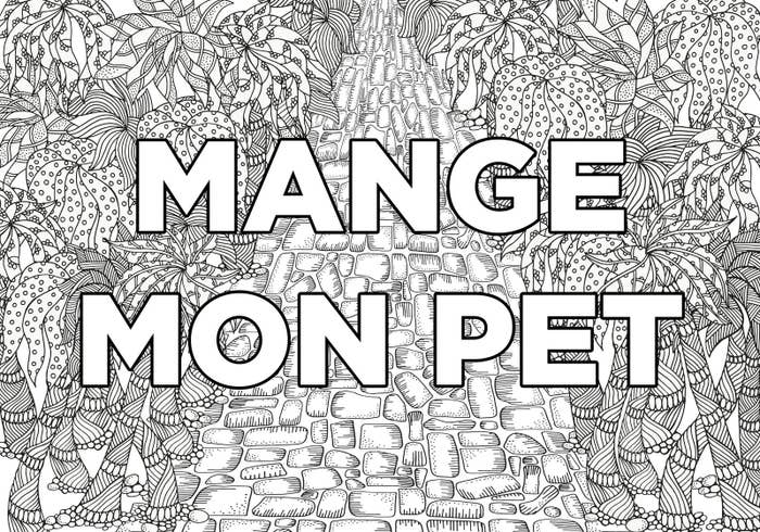 Résultat de recherche d'images pour "mon cahier d'injures à colorier pdf gratuit"