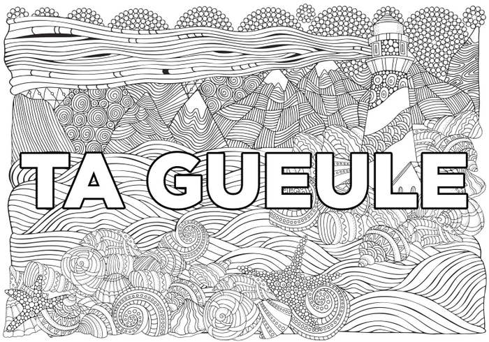 Résultat de recherche d'images pour "mon cahier d'injures à colorier pdf gratuit"