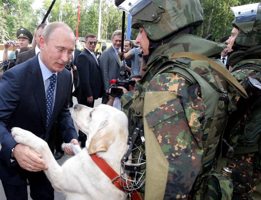 写真 プーチン大統領と犬の特別な関係をとらえた11の写真