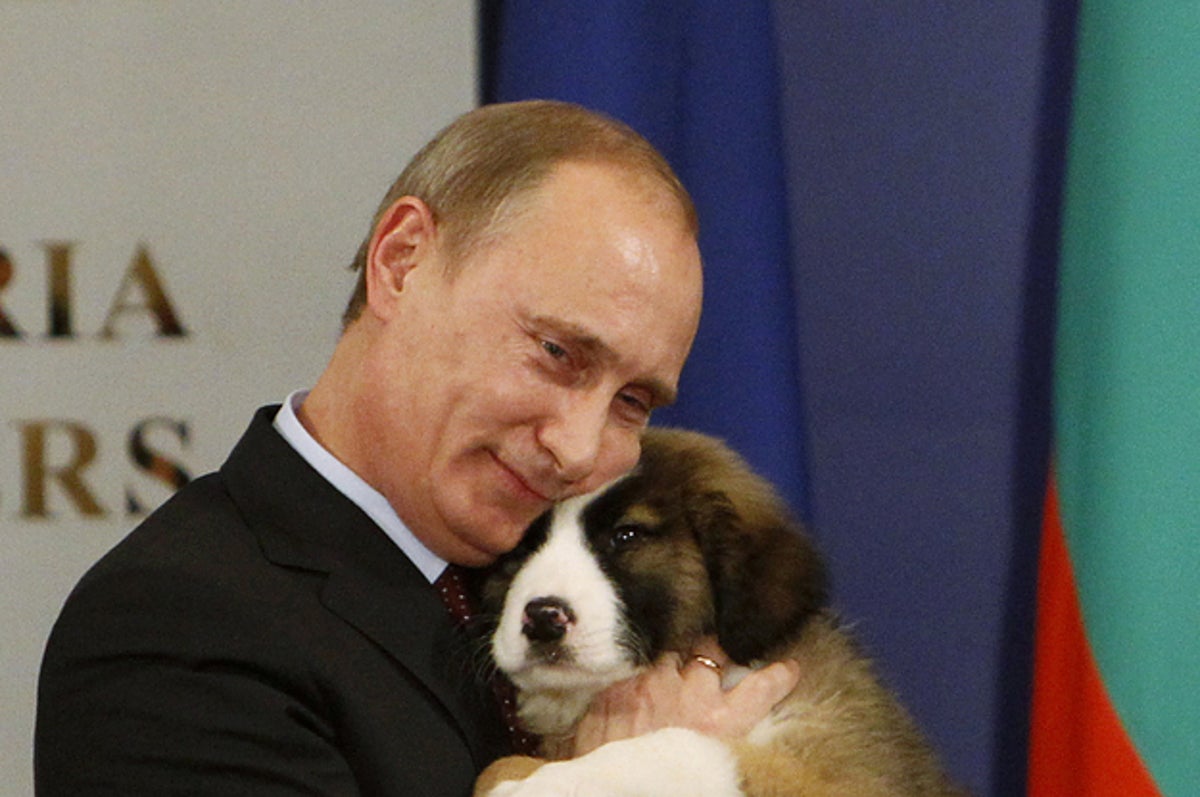 写真 プーチン大統領と犬の特別な関係をとらえた11の写真